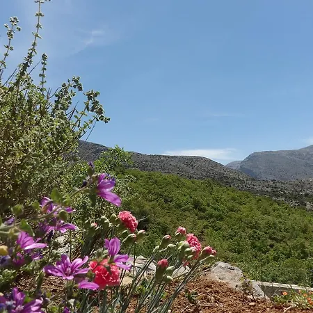 Arodamos Krousonas (Crete)